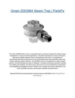 Groen Z003984 Steam Trap _ PartsFe