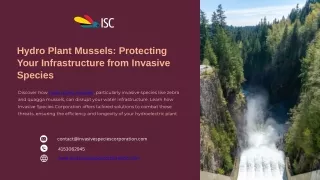 Hydro Plant Mussels Protecting Your Infrastructure from Invasive Species