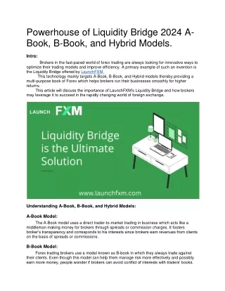 Powerhouse of Liquidity Bridge 2024 A-Book, B-Book, and Hybrid Models