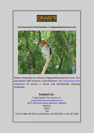 Tree Assessment And Evaluation  Craigsqualitytreeservice.com
