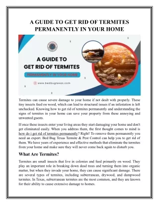 Effective Termite Exterminator & Prevention Treatment