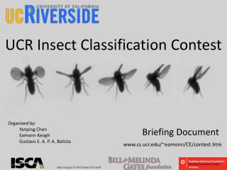 UCR Insect Classification Contest