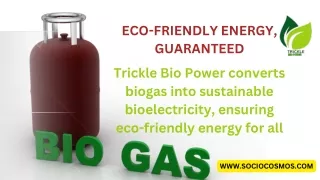 Innovative Power from Biogas