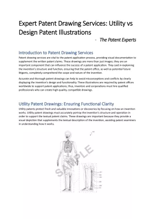 Expert Patent Drawing Services: Utility vs Design Patent Illustrations