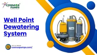 well point dewatering system