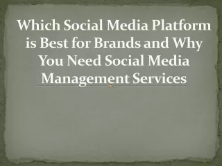 Which Social Media Platform is Best for Brands and Why You Need Social Media Management Services