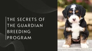 the Secrets of the Guardian Breeding Program