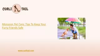 Monsoon Pet care Tips