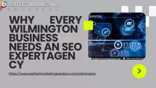 Why Every Wilmington Business Needs an SEO Expert