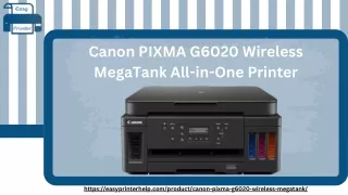 Canon PIXMA G6020 Wireless MegaTank All-in-One Printer (1)