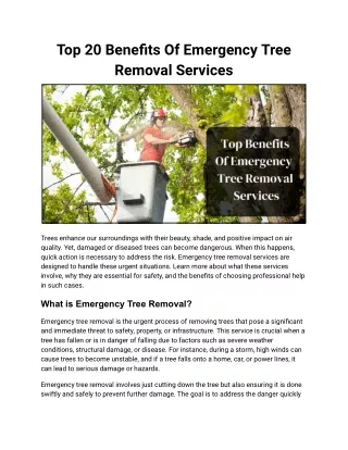 Top Benefits Of Emergency Tree Removal Services