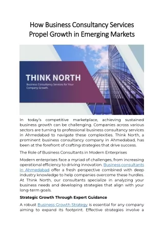 How Business Consultancy Services Propel Growth in Emerging Markets TNMC