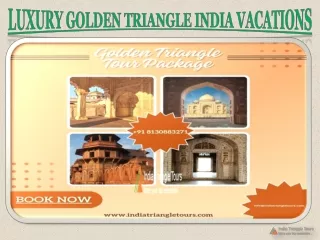 Luxury Golden Triangle India Vacations