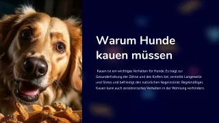 Hunde Kauartikel