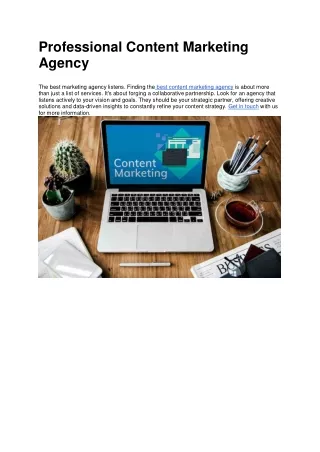 Professional Content Marketing Agency