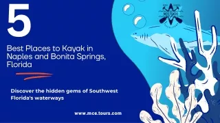 5 Best Places to Kayak in Naples and Bonita Springs, Florida