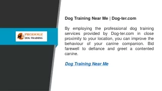 Dog Training Near Me  Dog-ter.com