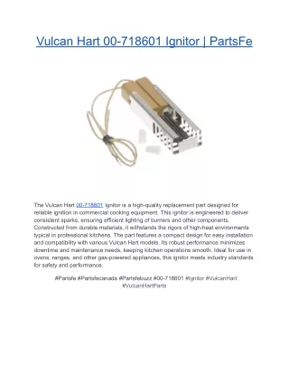 Vulcan Hart 00-718601 Ignitor _ PartsFe