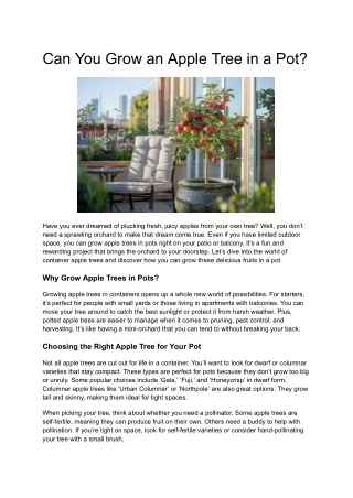 can you grow apple tree in a pot?