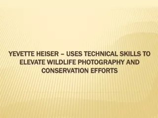 Yevette Heiser – Uses Technical Skills to Elevate Wildlife Photography