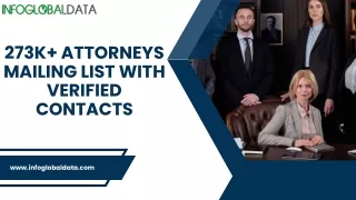 Gain Access to Attorneys Email and Mailing List for Successful Business Campaign