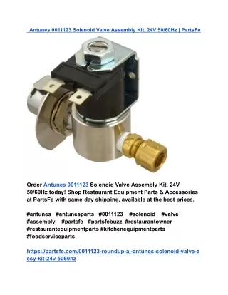 Antunes 0011123 Solenoid Valve Assembly Kit, 24V 50_60Hz _ PartsFe