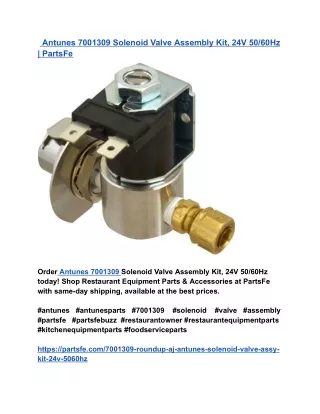 Antunes 7001309 Solenoid Valve Assembly Kit, 24V 50_60Hz _ PartsFe