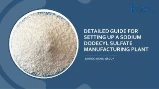 Sodium Dodecyl Sulfate Manufacturing Plant Project Report