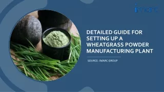 Wheatgrass Powder Manufacturing Plant Project Report Setup Cost