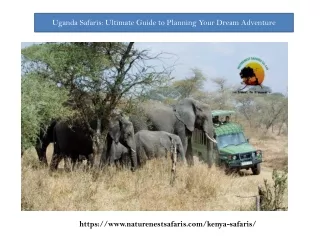 Uganda Safaris Ultimate Guide to Planning Your Dream Adventure