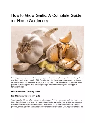 How to Grow Garlic- A Complete Guide for Home Gardeners