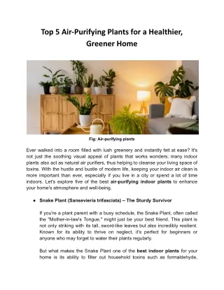 Top 5 Air-Purifying Plants for a Fresher, Healthier Home