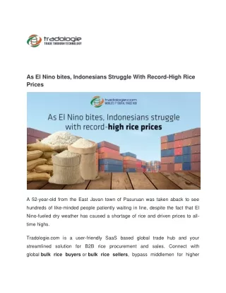 As El Nino bites, Indonesians Struggle With Record-High Rice Prices