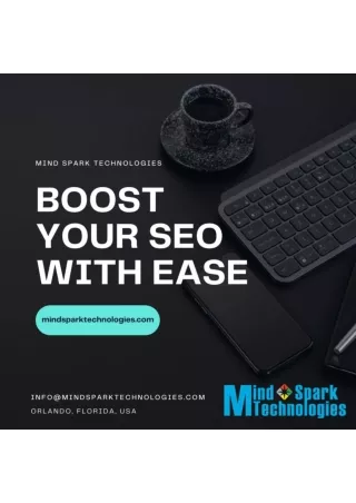 SEO Service Company in Orlando, Florida, USA - Mindspark technologies