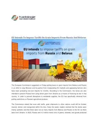 EU Intends To Impose Tariffs On Grain Imports From Russia And Belarus (1)