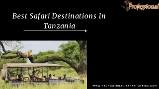 Best Safari Destinations In Tanzania