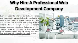 Why Hire A Professional Web Development Company