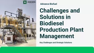 Challenges and Solutions in Biodiesel Production Plant Management