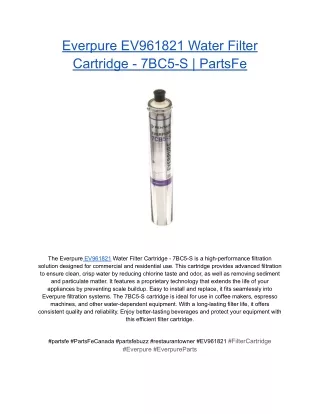 Everpure EV961821 Water Filter Cartridge - 7BC5-S _ PartsFe