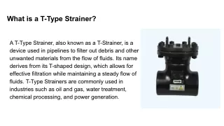 What is a T-Type Strainer_