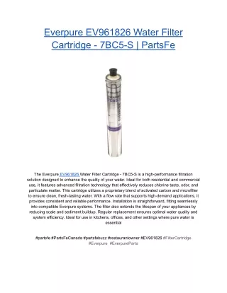 Everpure EV961826 Water Filter Cartridge - 7BC5-S _ PartsFe