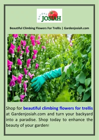 Beautiful Climbing Flowers For Trellis  Gardenjosiah.com