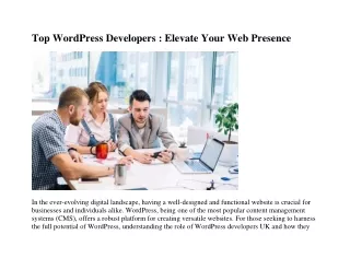 Top WordPress Developers