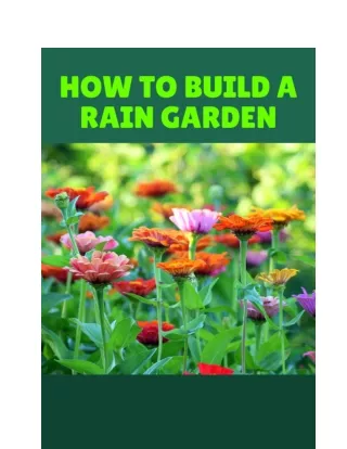 How to Build a Rain Garden- A Step-by-Step Guide