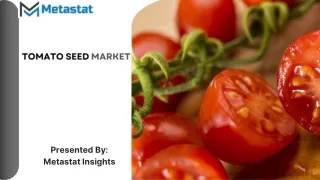 Tomato Seed Market Size, Share, Growth and Forecast 2031