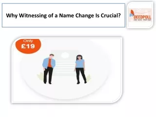 Understanding the Role of a Witness in the Name Change Process