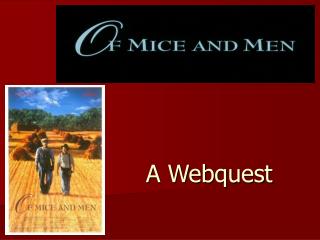 A Webquest