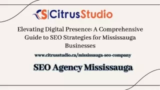 SEO Agency Mississauga