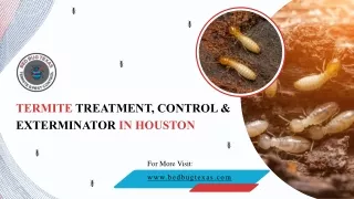 Effective Termite Exterminator & Prevention Treatment