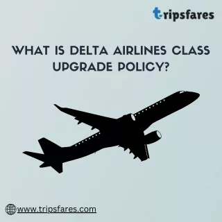 What Is Delta Airlines Class Upgrade Policy